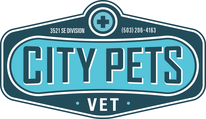 City Pets Vet