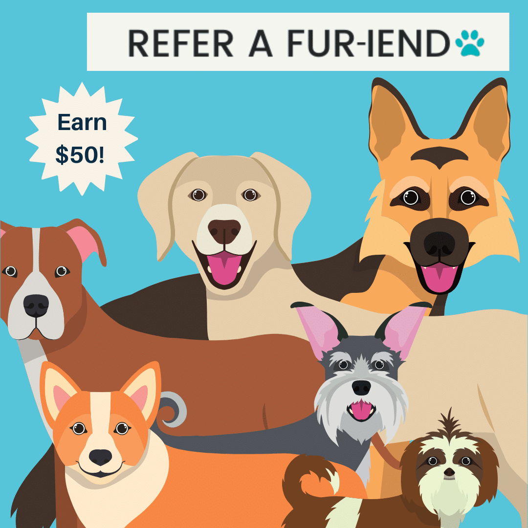 Fur-iends Social Graphics